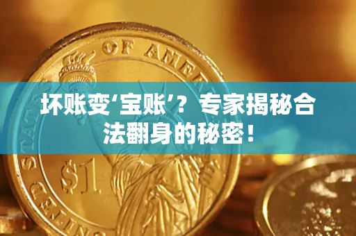 北京坏账变‘宝账’？专家揭秘合法翻身的秘密！