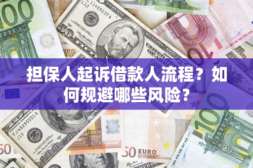 北京担保人起诉借款人流程？如何规避哪些风险？