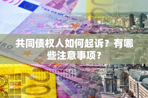 北京共同债权人如何起诉？有哪些注意事项？